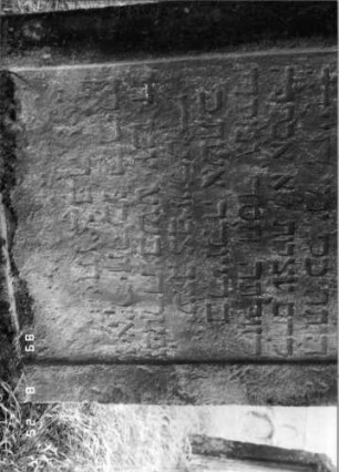 Grabstein 52 (Index: 100108143) Material: gelber Sandstein Zustand: verwittert, bewachsen und versalzen Maße HxBxT: 136x84x18 cm Beschreibung: Stele mit eingezogenem Rundbogenabschluß, Schriftfeld rechteckig eingetieft: Grabstein 52B