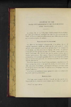 Culture Du Riz Dans L'Établissement De Pondichéry (Inde Francaise).