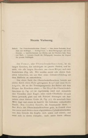 Neunte Vorlesung.