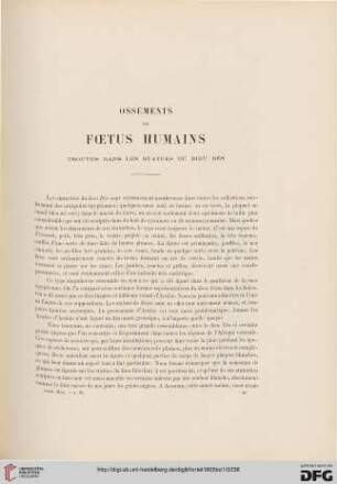 Ossements de foetus humains