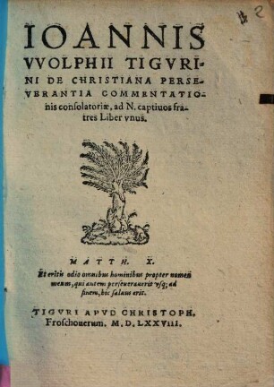 De christiana perseverantia commentationis consolatoriae, ad N. Captivos fratres