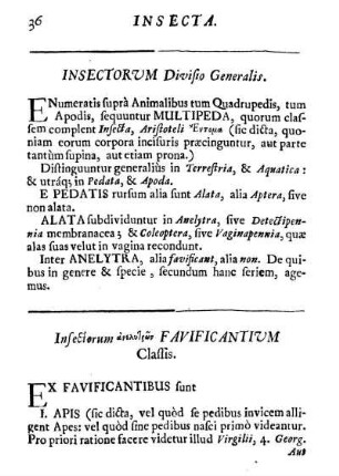 Insecta