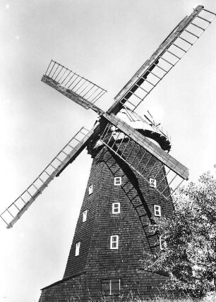 Krakower Holländermühle