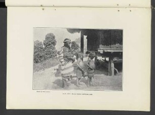 Plate LXXIII.