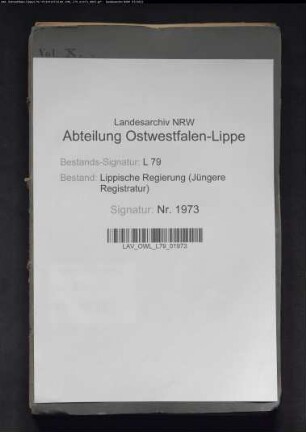 Regulierung der lippisch-preußischen Grenze, Band 10