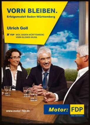 FDP, Landtagswahl 2011