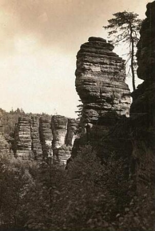 Sächsische Schweiz, Bielatal. Felsgruppe südlich der Verlassenen Wand
