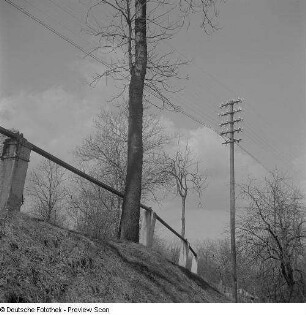Dorflandschaft mit Telegrafenmast im Vogtland