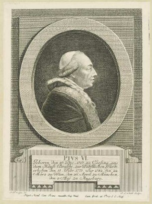 Bildnis des Pivs VI.
