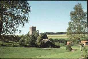 Burgruine Waldau im Schwarzwald-Baar-Kreis