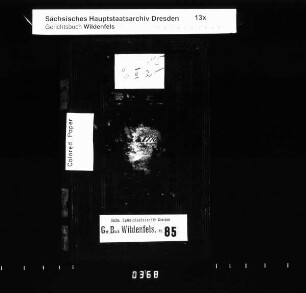 Gerichtshandelsbuch von Schönau (bei Wildenfels), Bd. 5