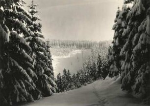 Tal der Schwarzen Pockau bei Pobershau. Verschneiter Fichtenhochwald mit Waldlichtung