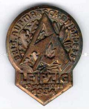 SA (Sturmabteilung), Aufmarsch der Brigade 35 in Leipzig