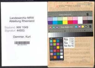 Entnazifizierung Kurt Demmer , geb. 06.05.1913 (Arzt)