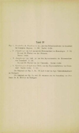 [Erläuterungen zu] Tafel IV