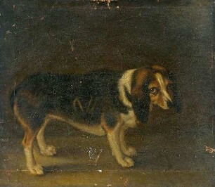 Jagdhund (Gegenstück zu M.482)