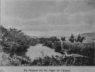 Rio Negro : Ein Flussarm des Rio Negro