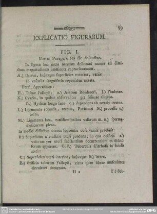 Explicatio Figurarum