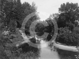 Flusslandschaft Lettin