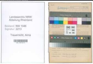 Entnazifizierung Alma Trauernicht , geb. 05.05.1921 (Krankenpflegerin)