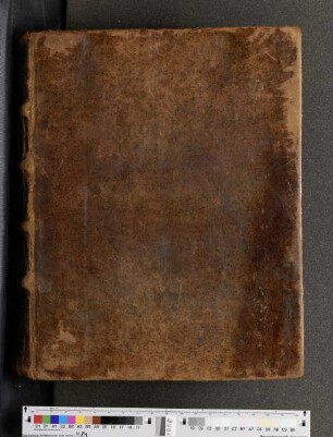 [Quattuor evangelia, graece] : Cod. in scrin. 91