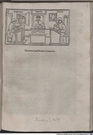 Comoediae : mit Kommentar von Aelius Donatus und Johannes Calphurnius (zu Heauton Timorumenos)