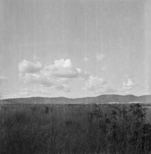 Landschaft : Blick über die Grassteppe zu einem Gebirge