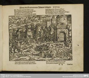 Fidena die Statt wirt von Römern belägert. XXVII.