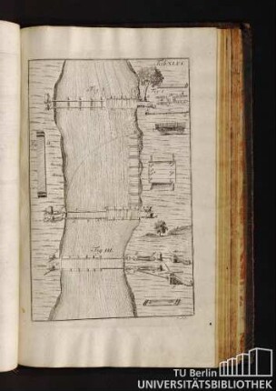 Tab. XLVI.