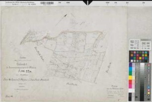 Rheine r.d.Ems (Rheine), Zusammenlegung Rheine r.d.Ems  Stadtberg, Urkarte I Rheine r.d.Ems Flur 8