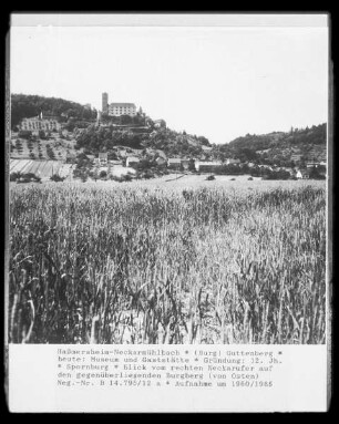 Burg Guttenberg