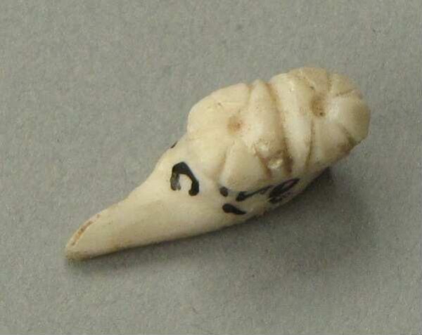 Shell ornament