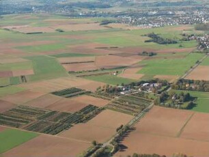 Limburg-Linter, Mainzer Straße