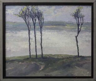 Bäume am See