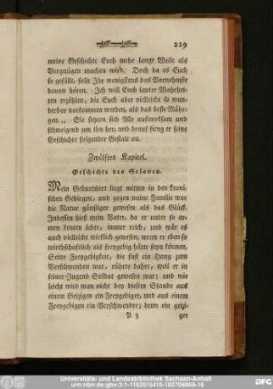 Zwöftes Kapitel. Geschichte des Sclaven.