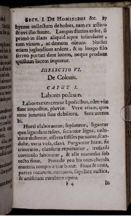 Subsectio VI. De Colonis