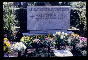 Grab Axel Springer 2.5.86.