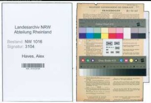 Entnazifizierung Alex Haves , geb. 26.01.1898 (Friedhofswaerter)