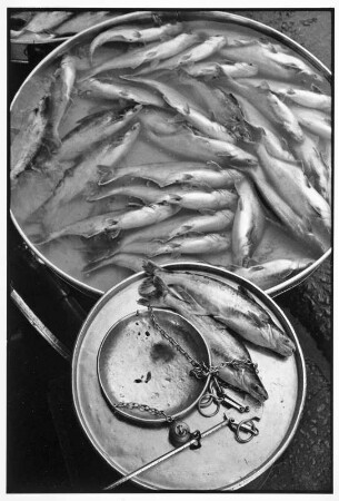 Vietnam. Fischverkauf