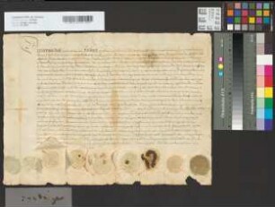 Kompromiß zwischen Erzbischof Friedrich IV. und den Gebrüdern Georg, Afterdekan am Dom, Propst, und Ludwig, Grafen von Wittgenstein in Betreff der Freigrafschaft Zuschen.