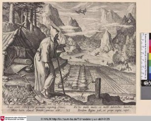 Simeon