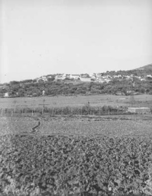 Dorfbild : Blick auf das an einem Berghang gelegene Dorf Polithea, das von Olivenhainen umgeben ist.