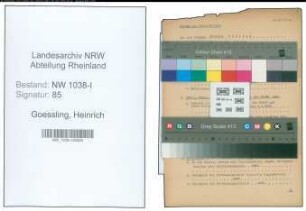 Entnazifizierung Heinrich Goessling , geb. (Polizist)