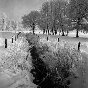 Sehmsdorfer Straße: Bach: Zaunpfähle an Uferböschung: rechts und hinten Bäume: Winter