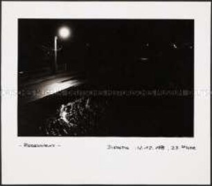 Nasses Straßenpflaster in der Nacht mit Laterne (Altersgruppe 18-21)