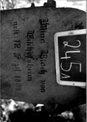 Grabstein 245 (Index: 100110993) Material: Sandstein Zustand: gut Maße HxBxT: 138x58x25 cm Beschreibung: Stele, profilierter Sockel, eingezogener Rundbogenabschluß, rechteckiges Schriftfeld eingetieft: Grabstein 245A