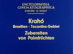 Krahó (Brasilien, Tocantins-Gebiet) - Zubereiten von Palmfrüchten
