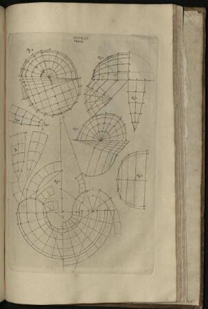 Lastra XIV. Trat. IV.
