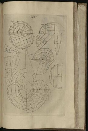 Lastra XIV. Trat. IV.