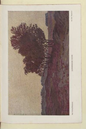 Lüneburger Heide
